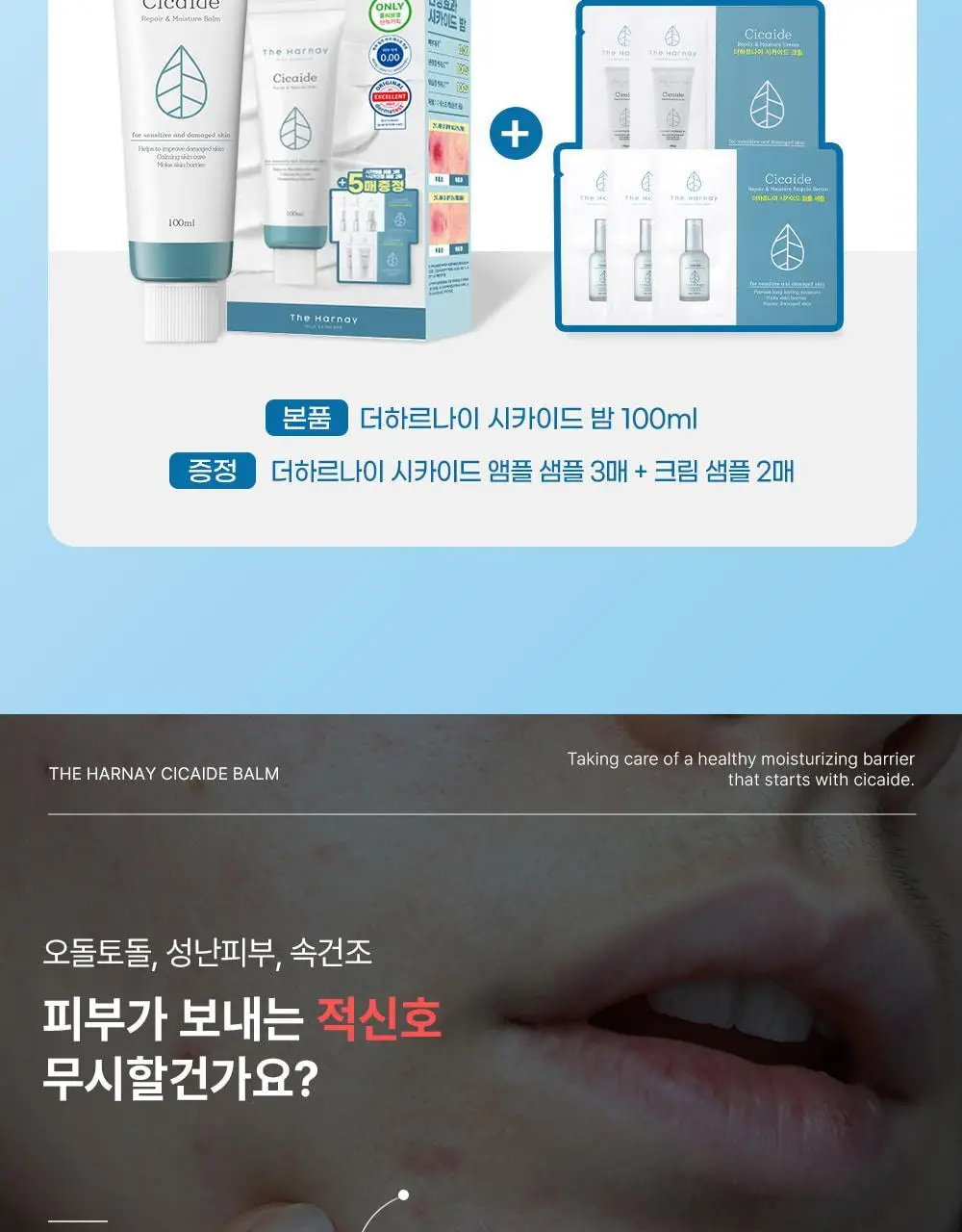[피부장벽강화크림] 더하르나이 시카이드 밤 100ml기획(+앰플5ml*3p+크림5ml*2p) 상세페이지 3